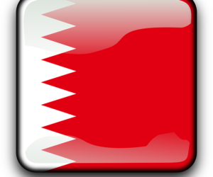 ¿Cuántos tipos de visados hay en Bahréin?