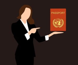 Visado electrónico de negocios a la llegada a Nigeria para ciudadanos de Mónaco