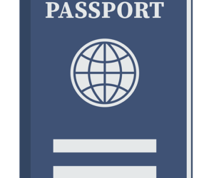 Visado electrónico de negocios a la llegada a Nigeria para ciudadanos de Corea del Sur
