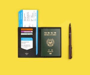 Visado electrónico de turista a la llegada a Nigeria para ciudadanos de Sudáfrica