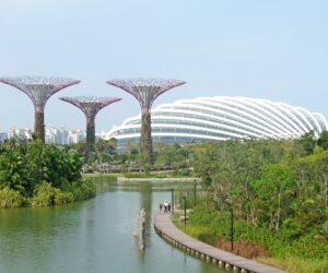 Singapur y la validez del visado