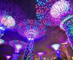 Solicitud de visado para Singapur